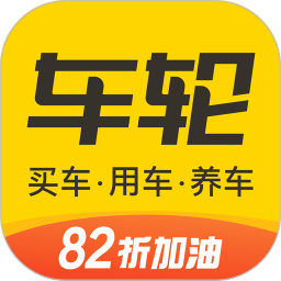 车轮查违章ios版
