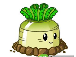 植物大战僵尸2国庆限定植物来啦 捣蛋萝卜